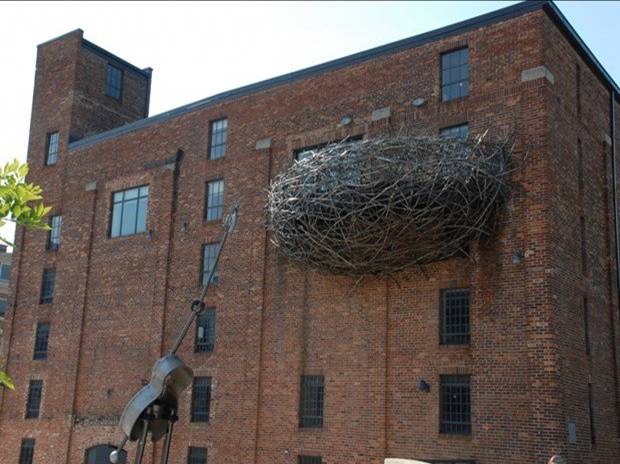 birdnest building